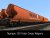 Tagnpps - 130  - Grain  transport Wagons 