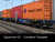 Sgmmnss 40 Wagons - Container Transport
