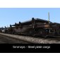 Smmnps - Steel Plate Cargo