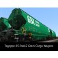Tagnpps - 95  - Pack2  transport Wagons 