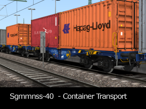 Sgmmnss 40 Wagons - Container Transport