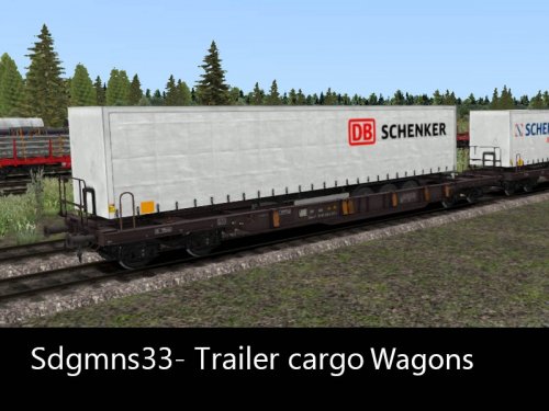 Sdgmns33 -T3 Trailer Cargo wagons